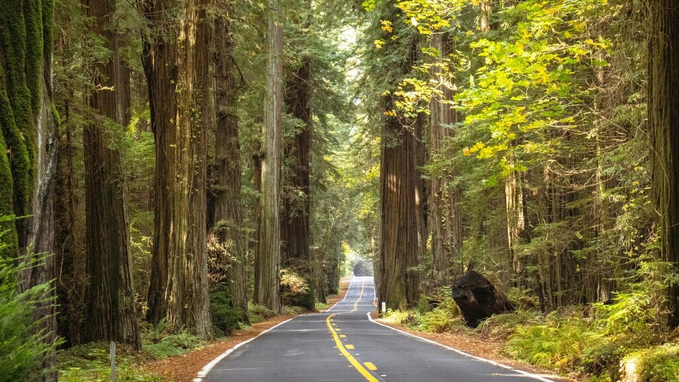 Somatic, trauma-informed coaching for women