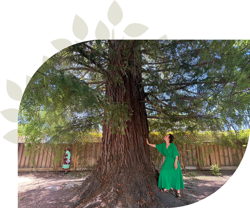 Anne-Caroline Floch-Ngy with a redwood
